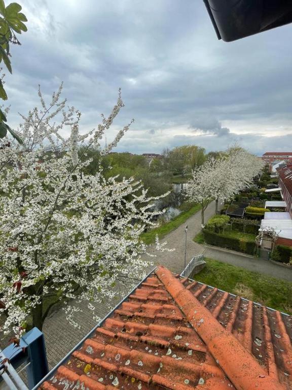 Air 9 Appartement